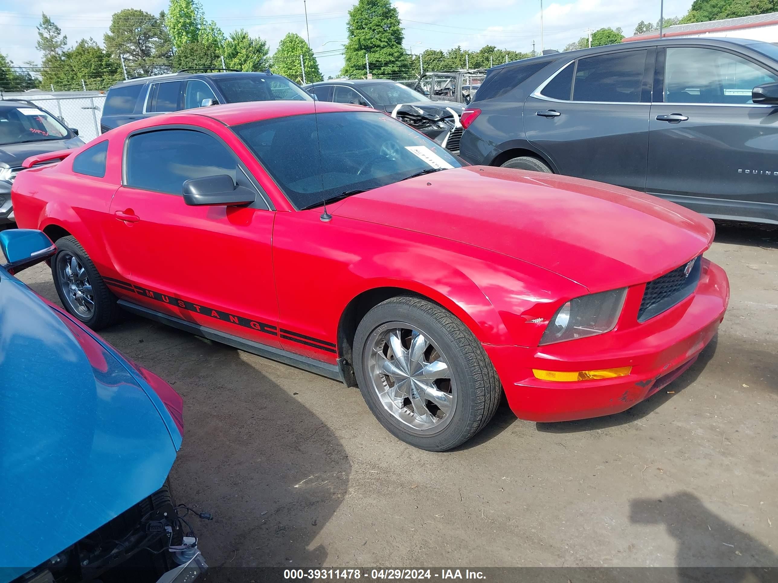 FORD MUSTANG 2005 1zvft80n955145959