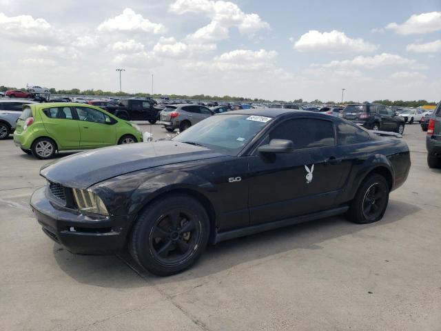 FORD MUSTANG 2005 1zvft80n955153205