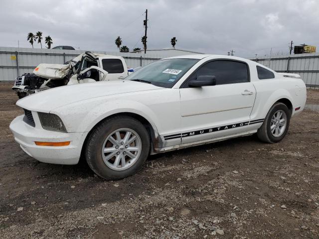 FORD MUSTANG 2005 1zvft80n955161627