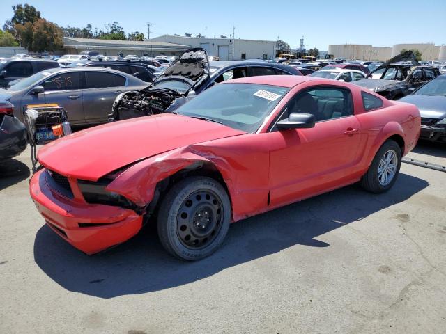 FORD MUSTANG 2005 1zvft80n955168299