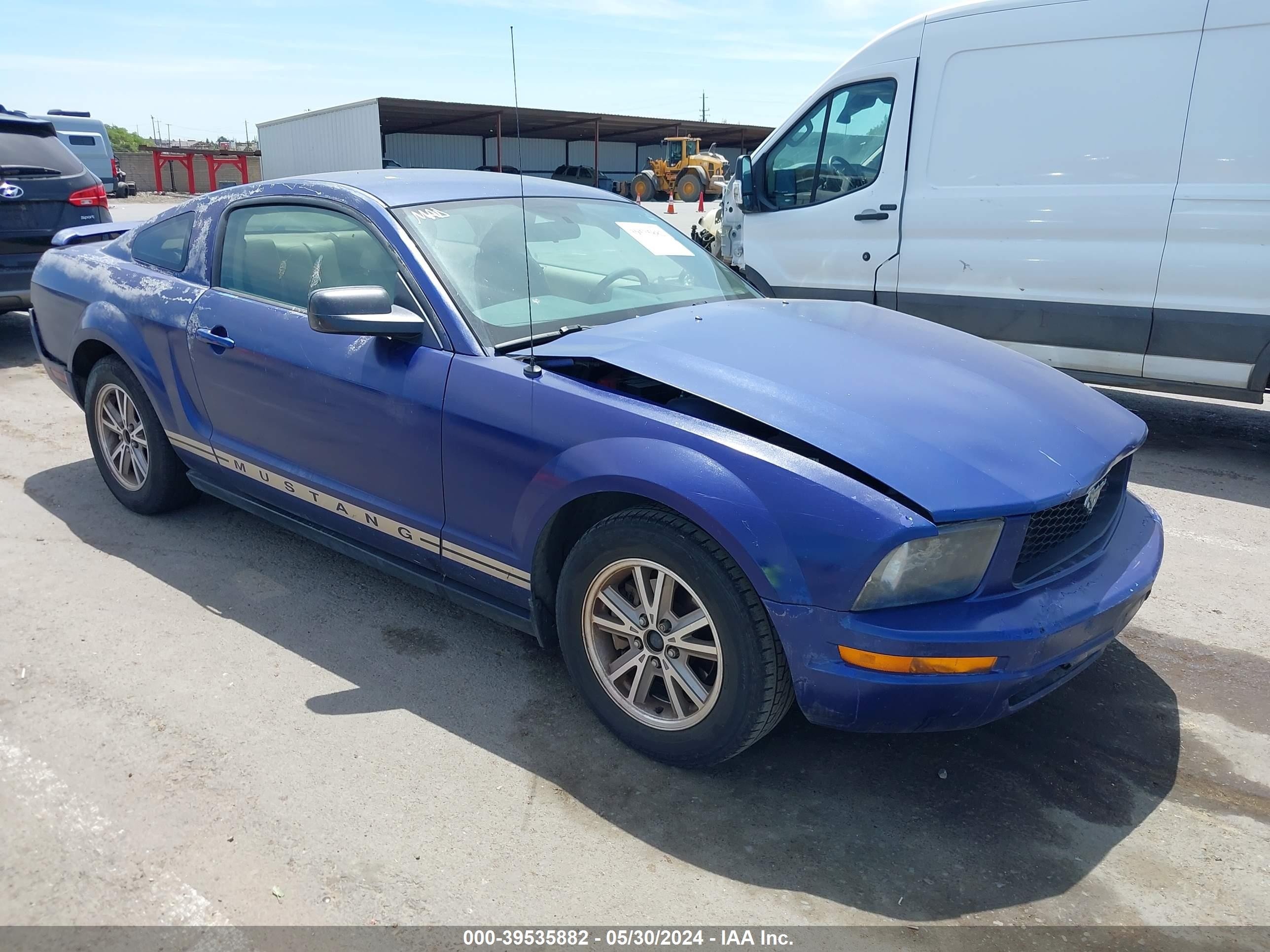 FORD MUSTANG 2005 1zvft80n955176421