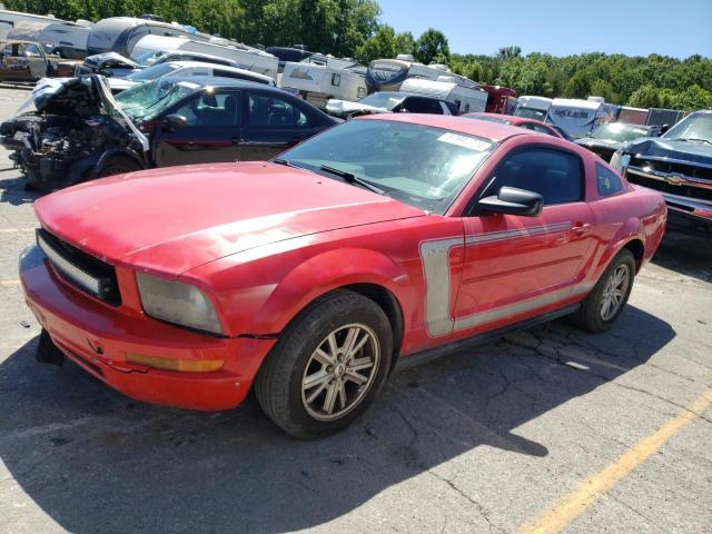 FORD MUSTANG 2005 1zvft80n955197723