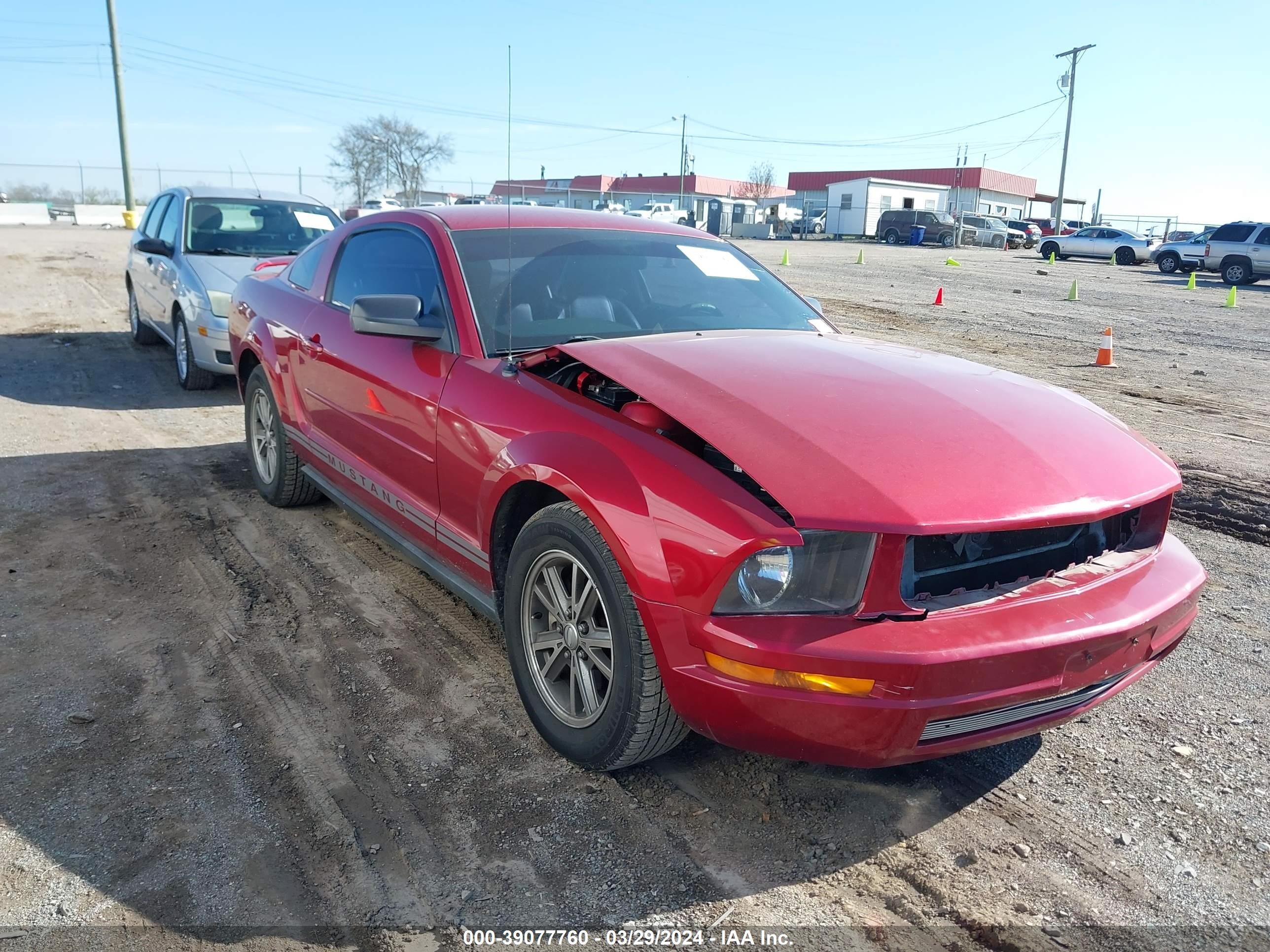 FORD MUSTANG 2005 1zvft80n955201933