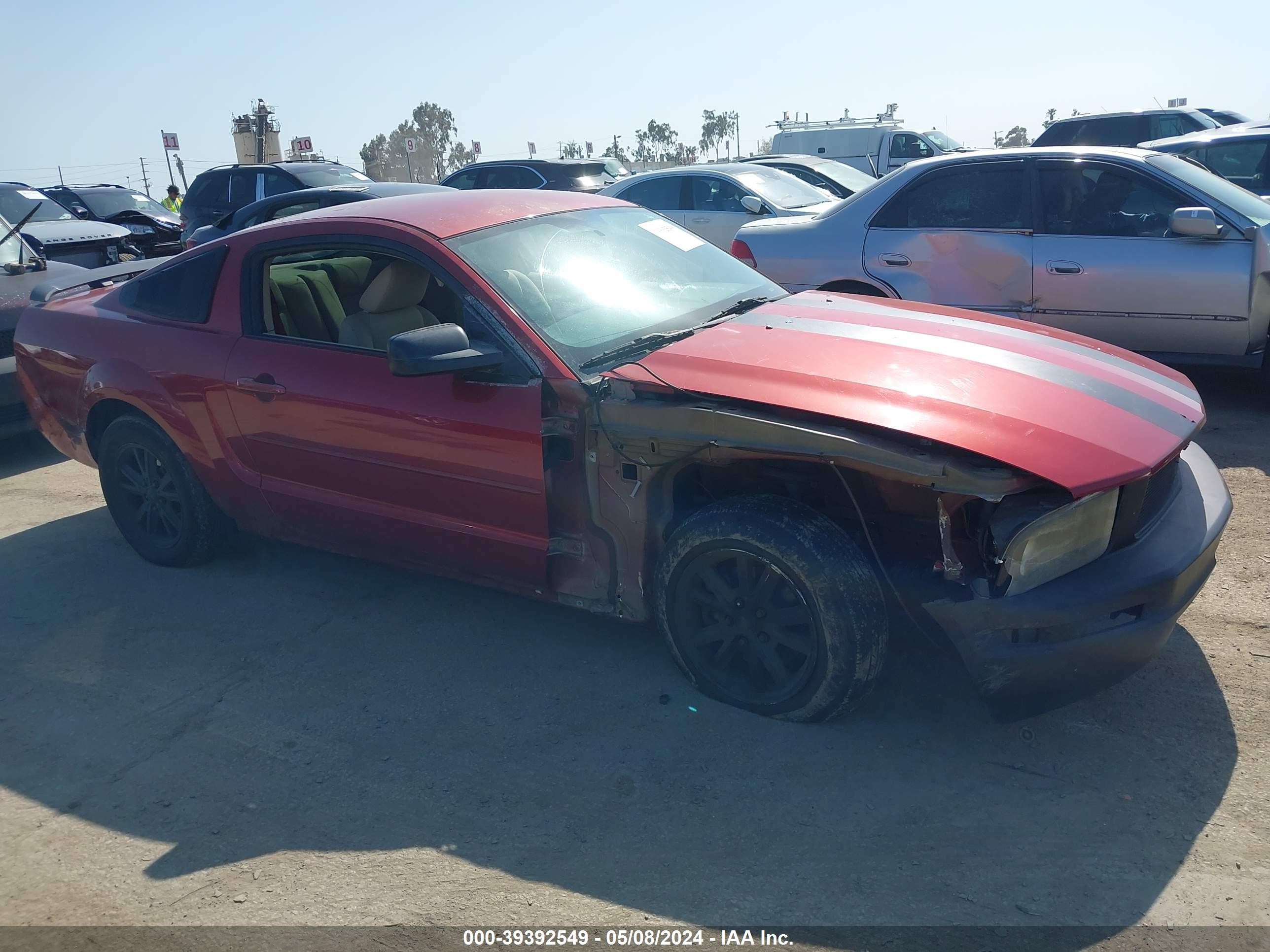 FORD MUSTANG 2005 1zvft80n955210907