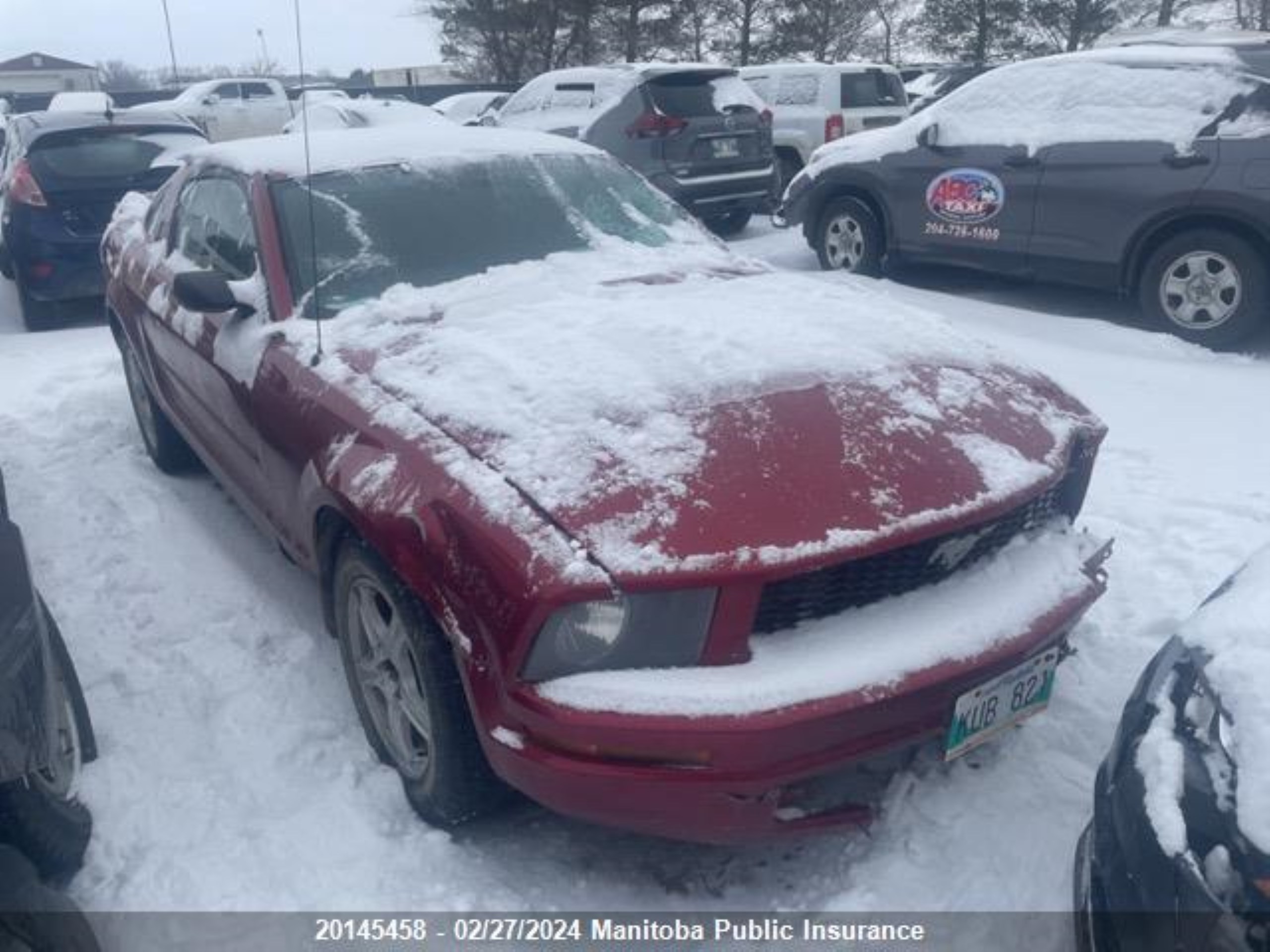 FORD MUSTANG 2005 1zvft80n955235502