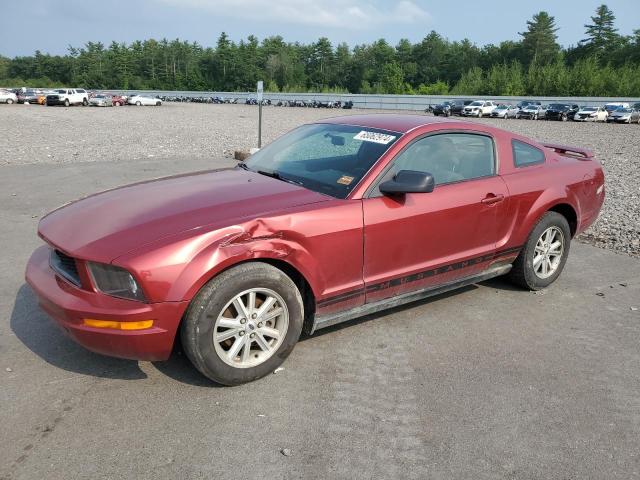 FORD MUSTANG 2006 1zvft80n965117449