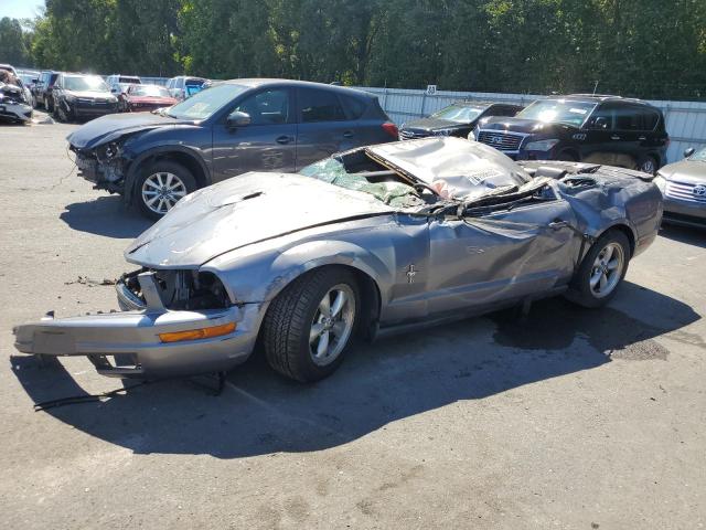 FORD MUSTANG 2007 1zvft80n975338048