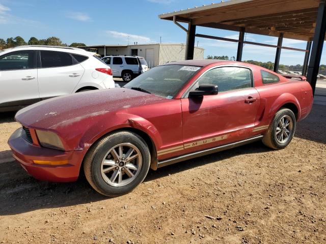 FORD ALL MODELS 2005 1zvft80nx55111609