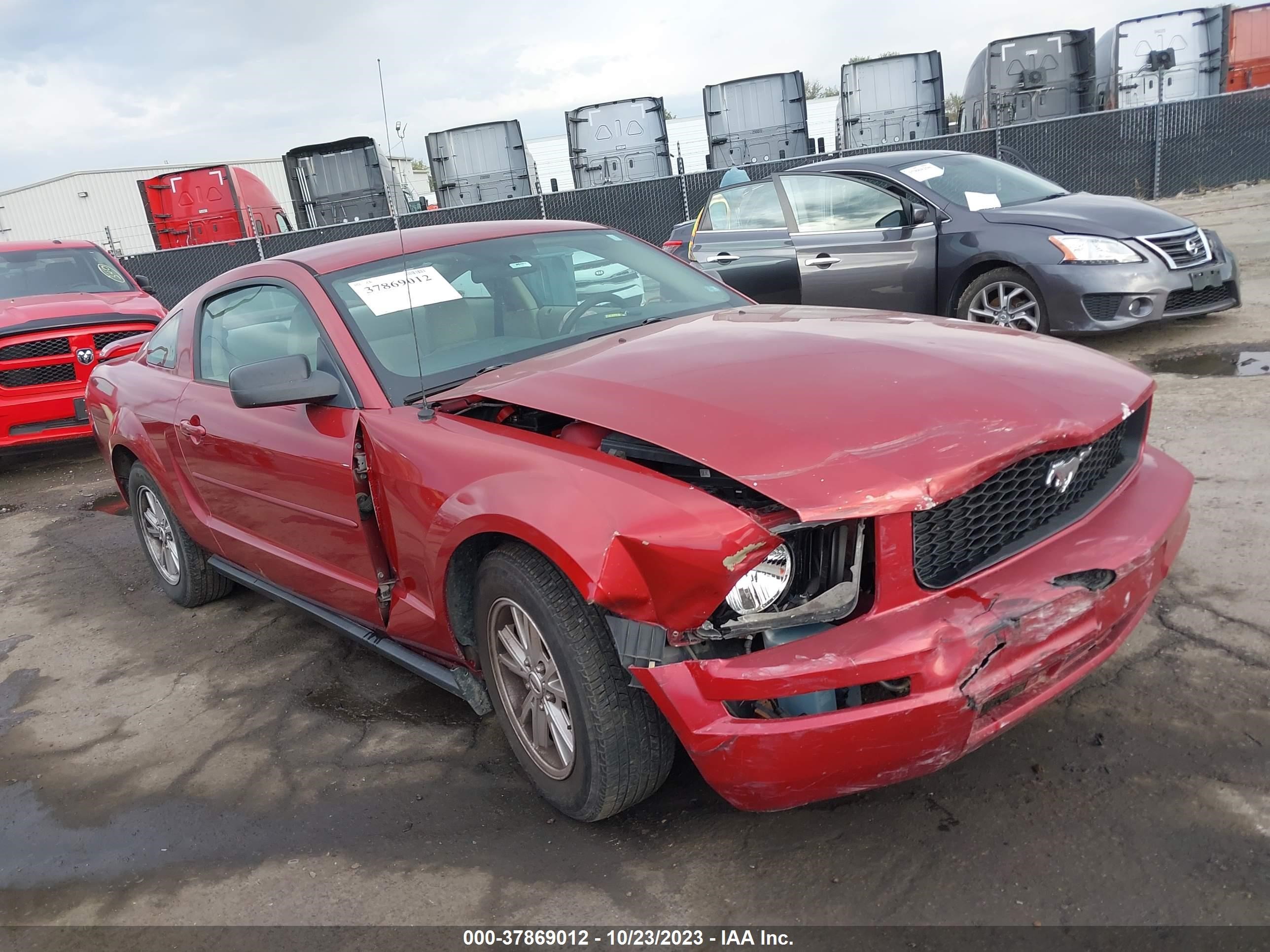 FORD MUSTANG 2005 1zvft80nx55115448