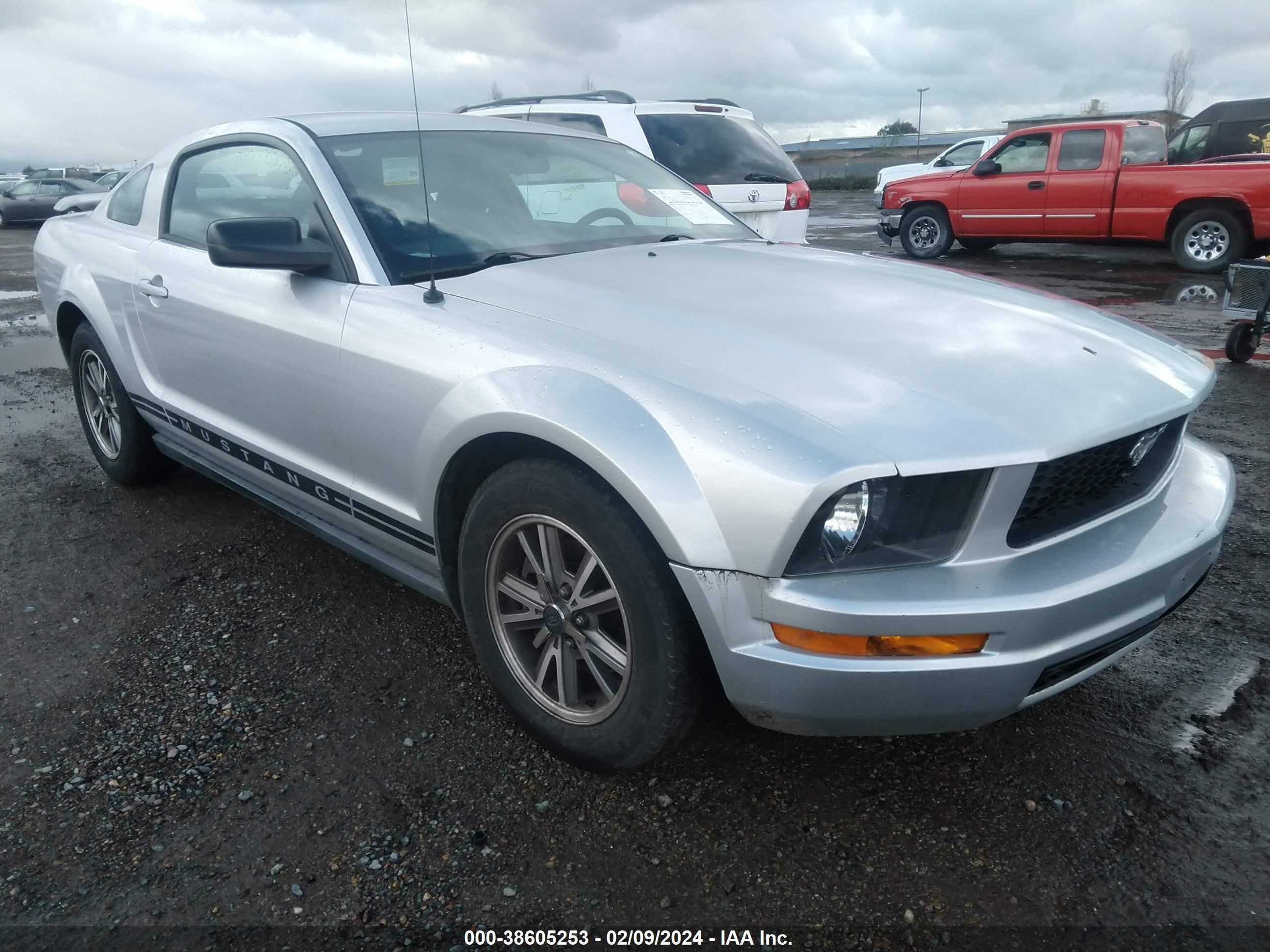 FORD MUSTANG 2005 1zvft80nx55130130