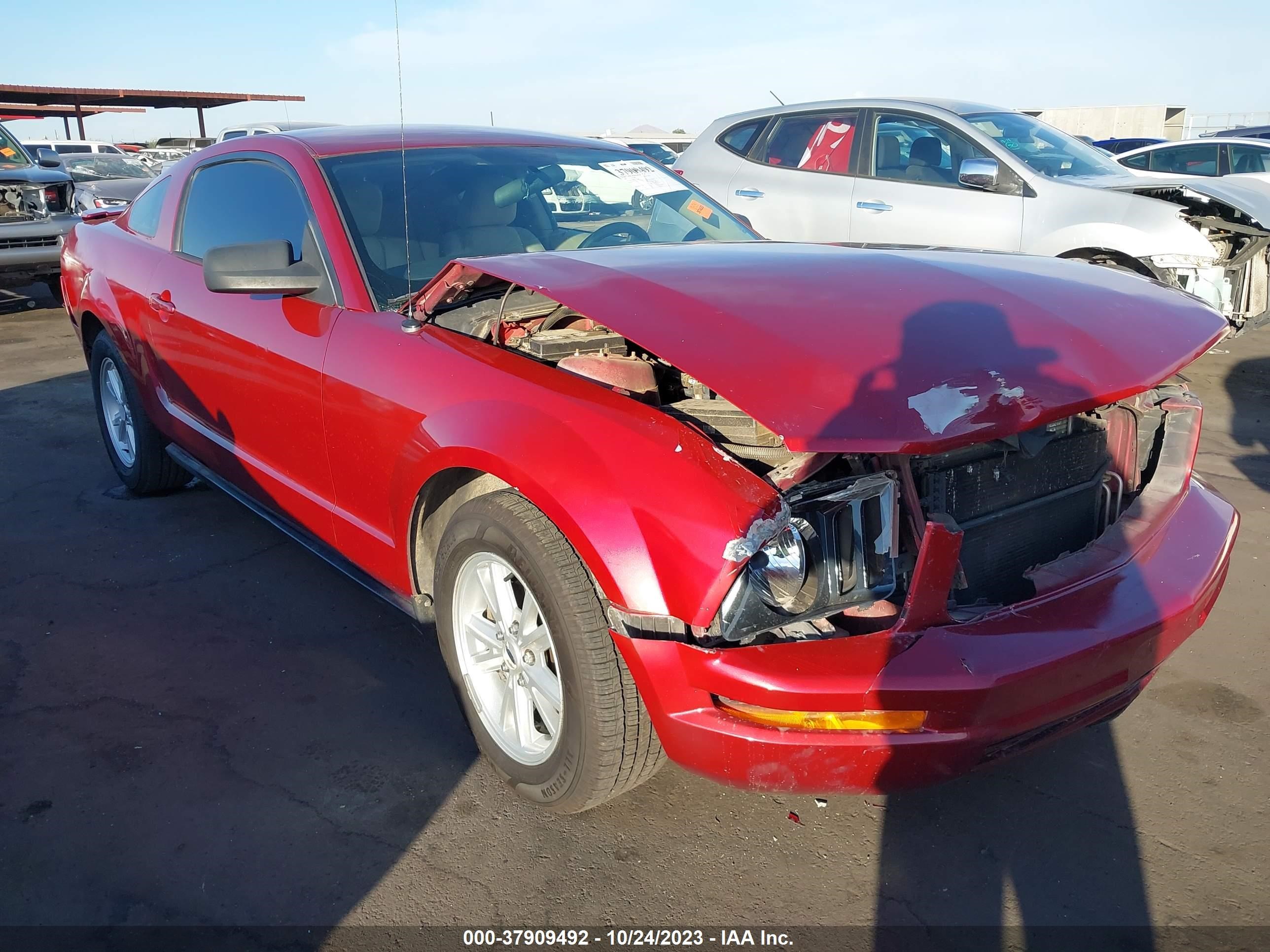 FORD MUSTANG 2005 1zvft80nx55138048