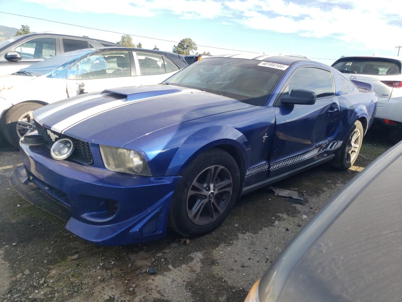 FORD MUSTANG 2005 1zvft80nx55144691