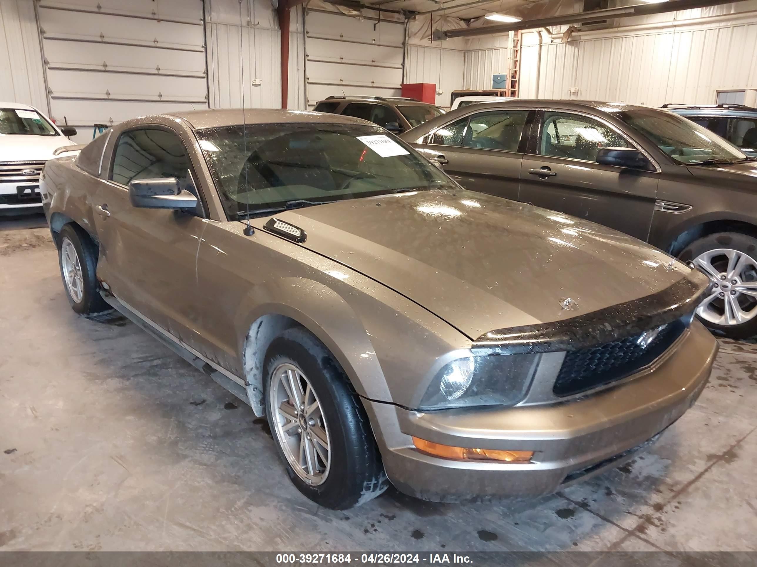 FORD MUSTANG 2005 1zvft80nx55150488