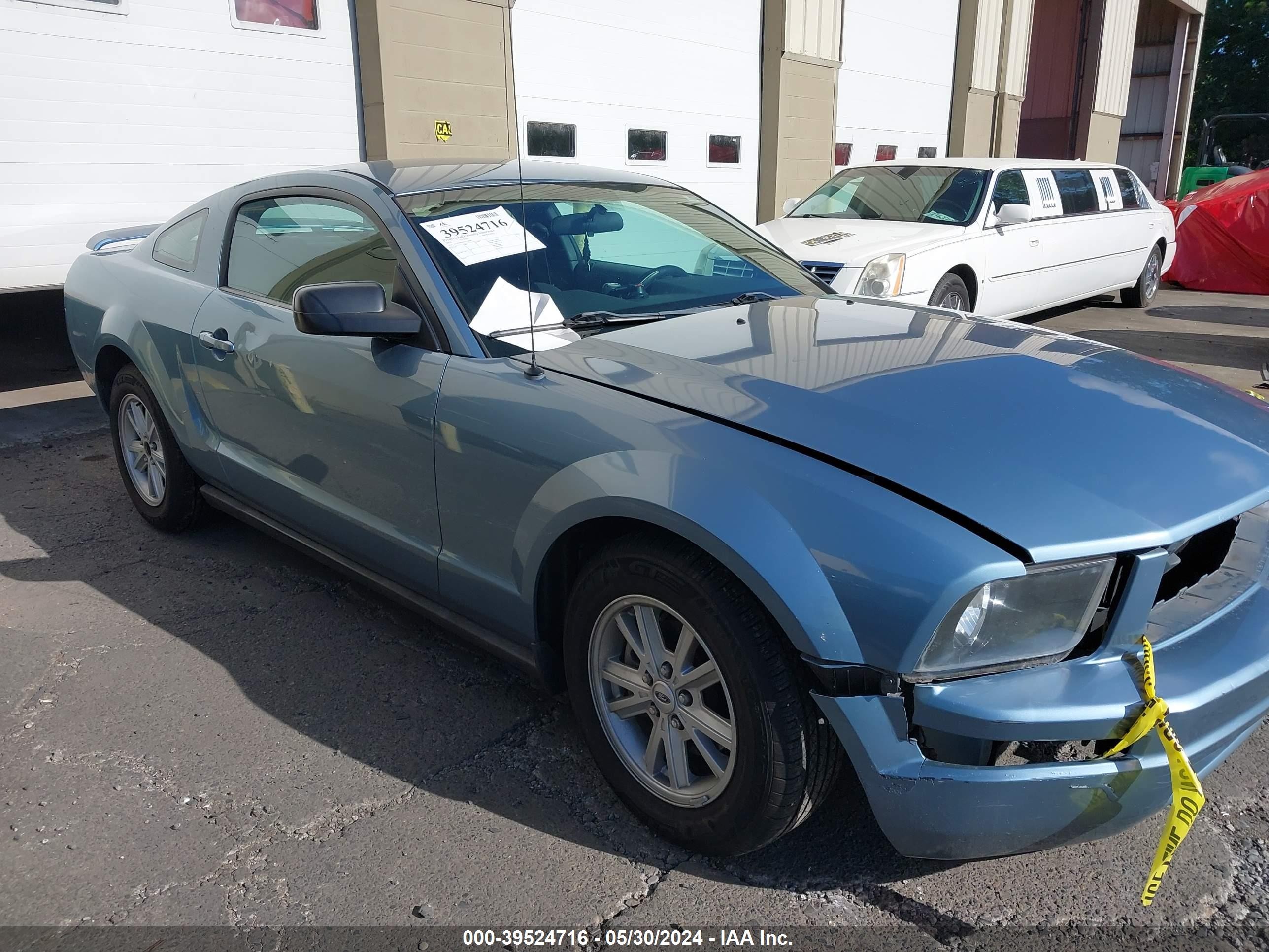 FORD MUSTANG 2005 1zvft80nx55158445