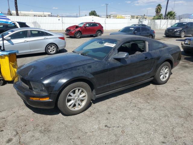 FORD MUSTANG 2005 1zvft80nx55168229