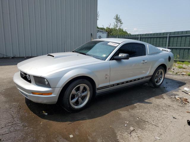 FORD MUSTANG 2005 1zvft80nx55211225