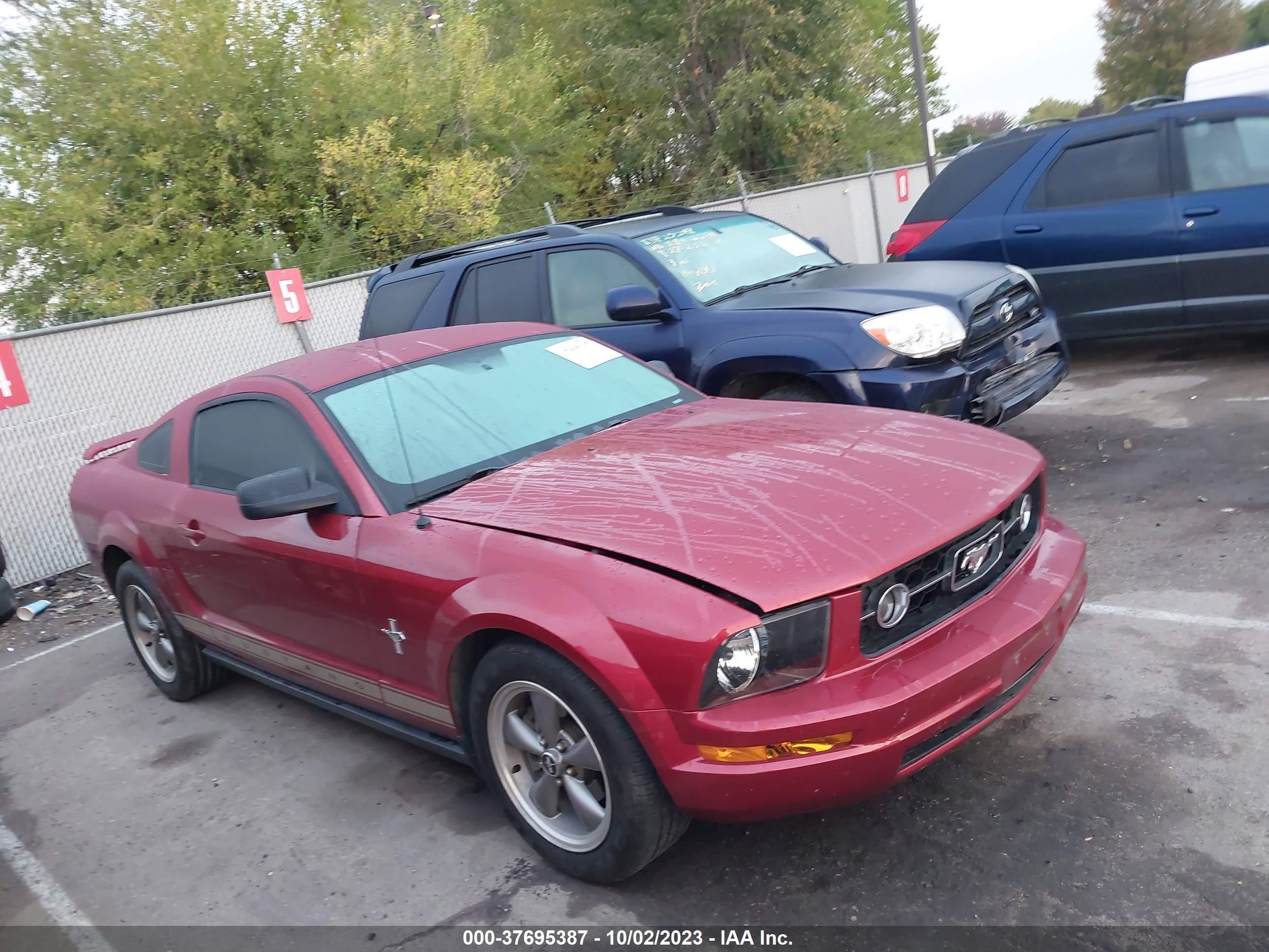 FORD MUSTANG 2006 1zvft80nx65117444