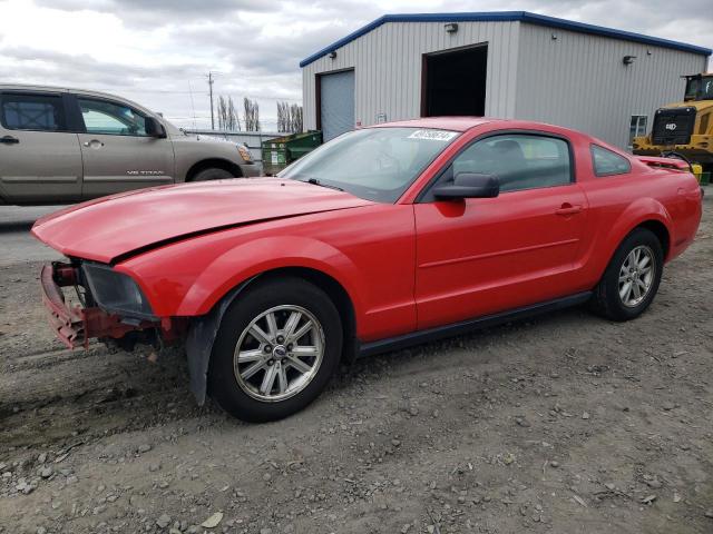 FORD MUSTANG 2006 1zvft80nx65152419