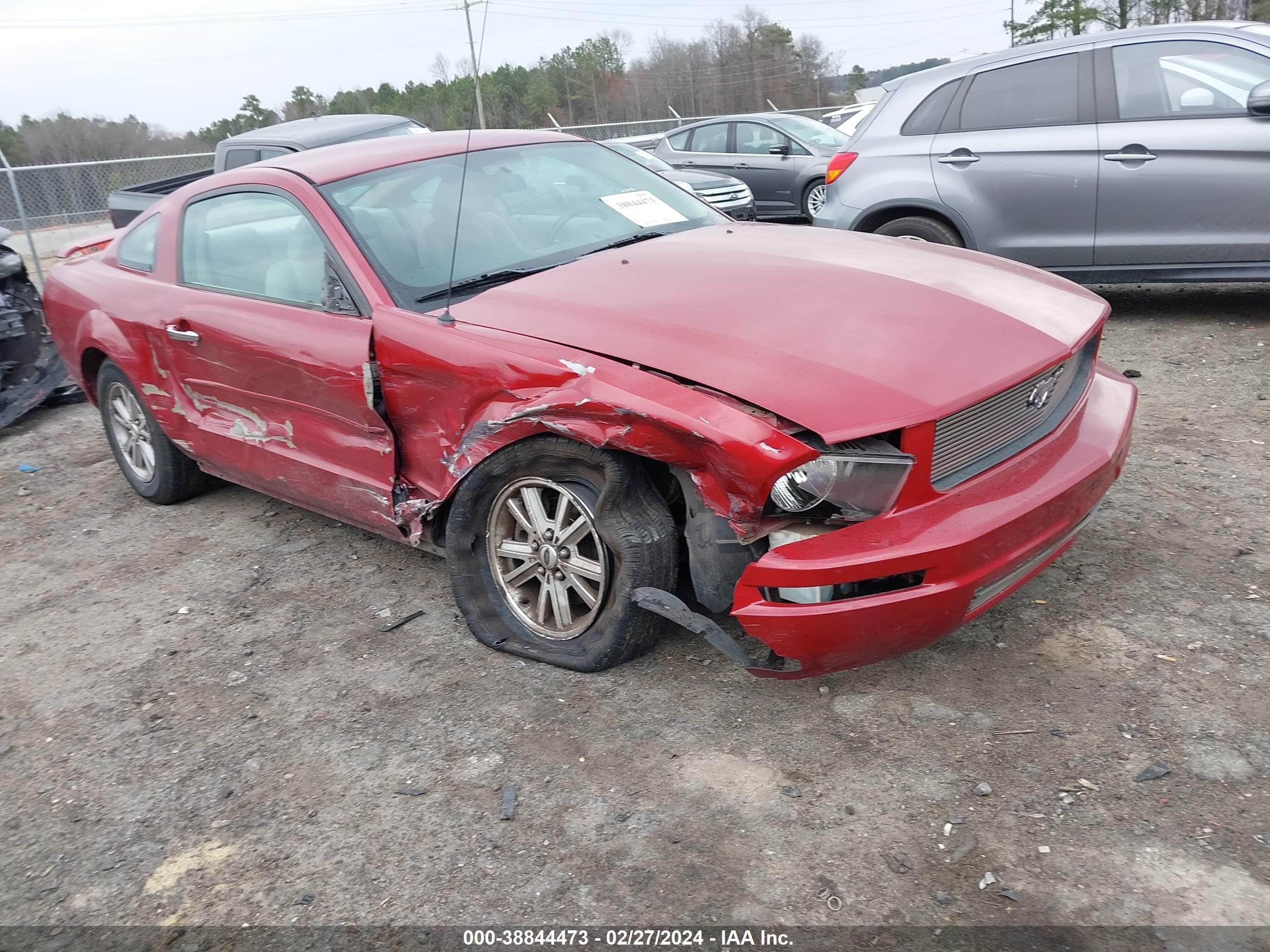 FORD MUSTANG 2006 1zvft80nx65166014