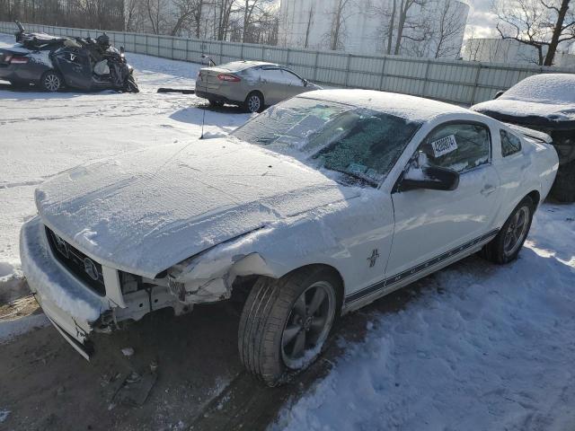 FORD MUSTANG 2006 1zvft80nx65185498