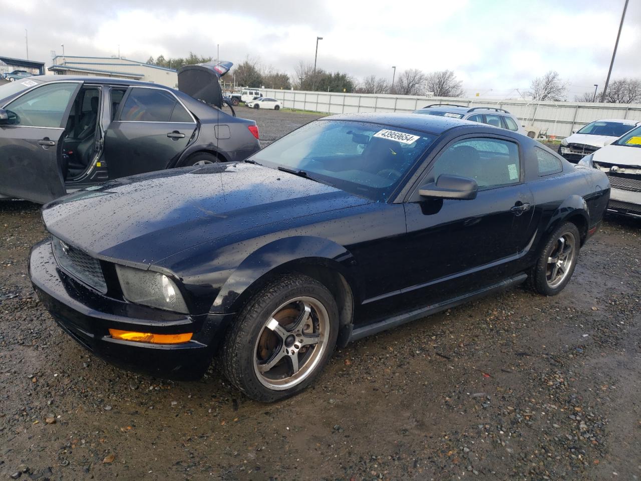 FORD MUSTANG 2006 1zvft80nx65199692