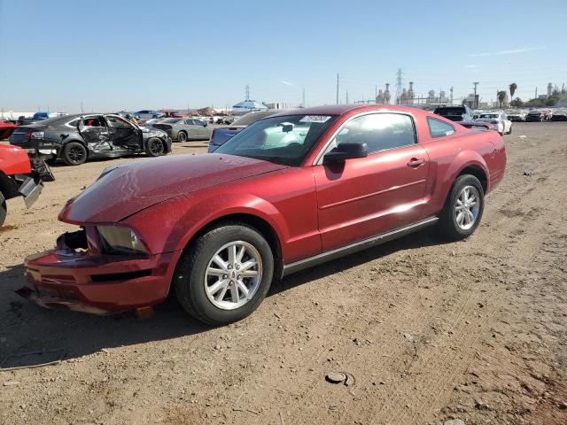 FORD MUSTANG 2006 1zvft80nx65200498