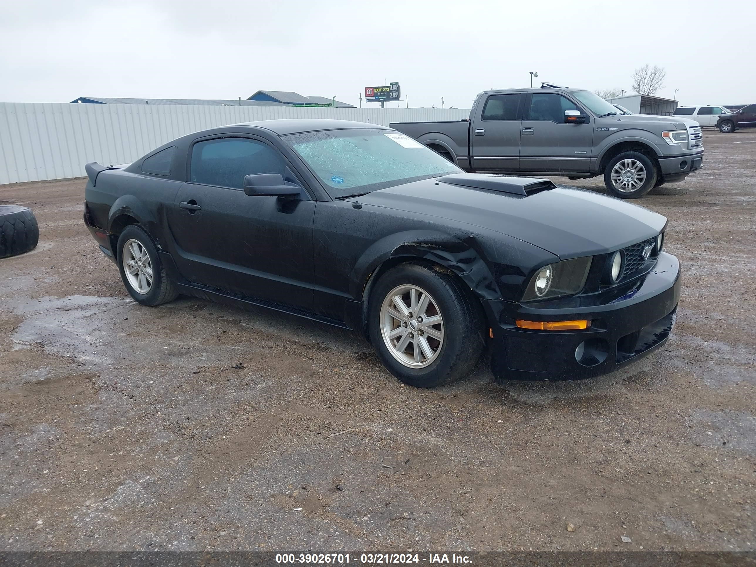 FORD MUSTANG 2006 1zvft80nx65204017