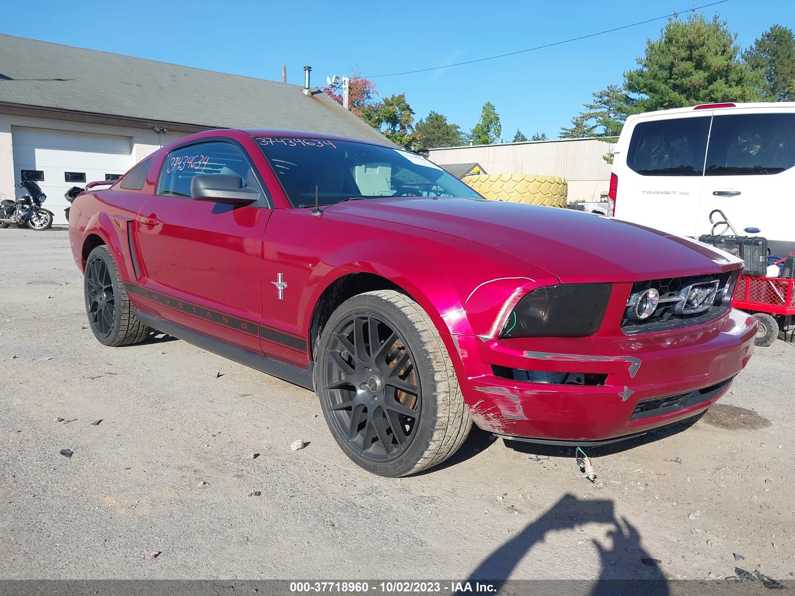 FORD MUSTANG 2006 1zvft80nx65211341