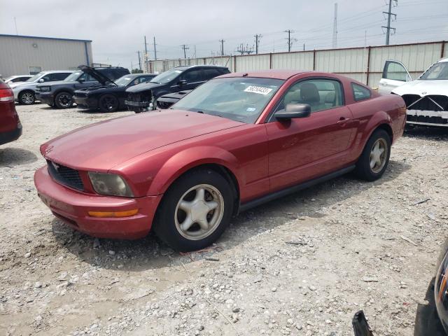 FORD MUSTANG 2006 1zvft80nx65262001