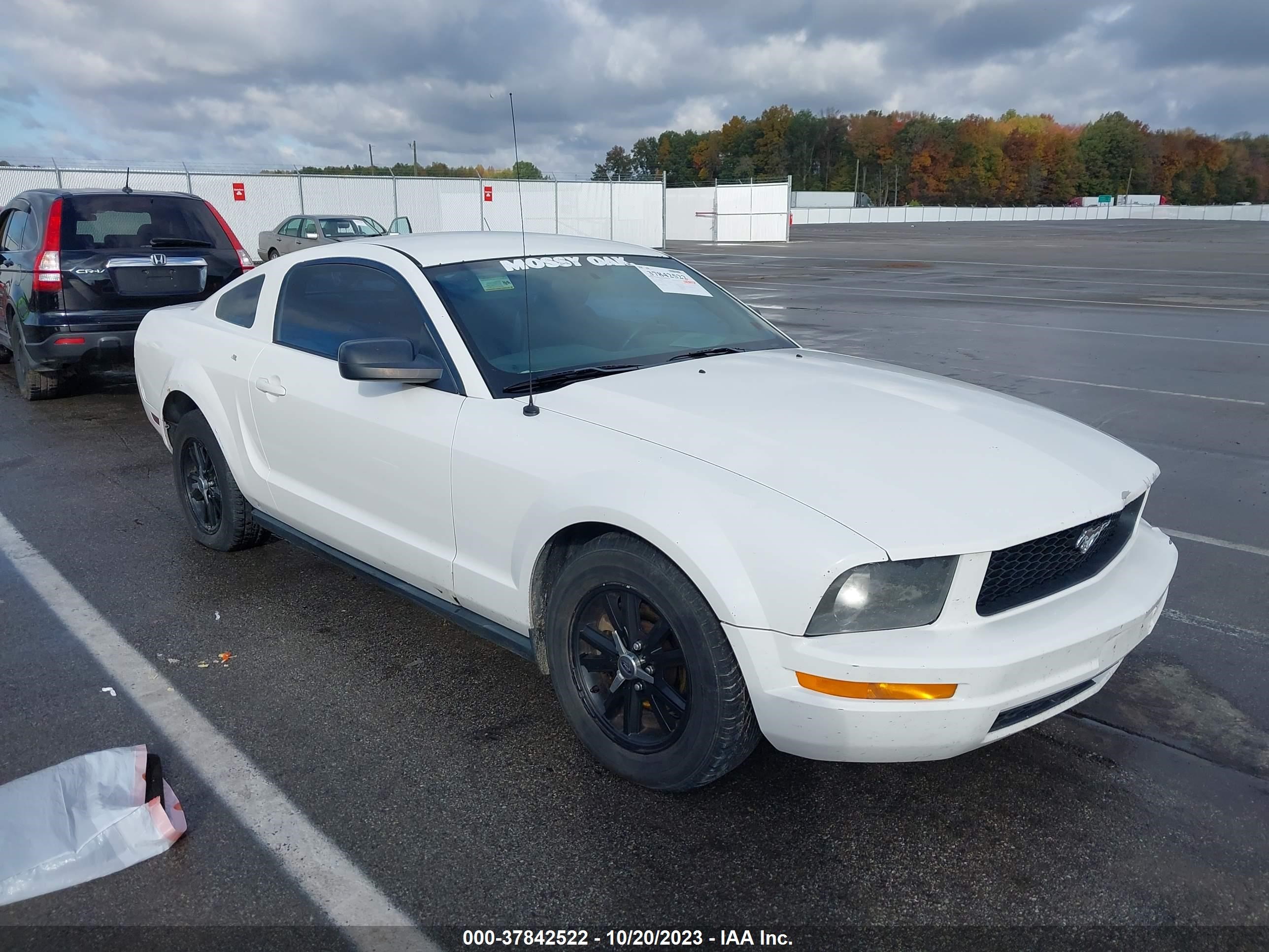 FORD MUSTANG 2007 1zvft80nx75313532