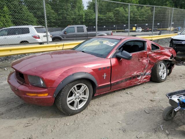 FORD MUSTANG 2007 1zvft80nx75356686