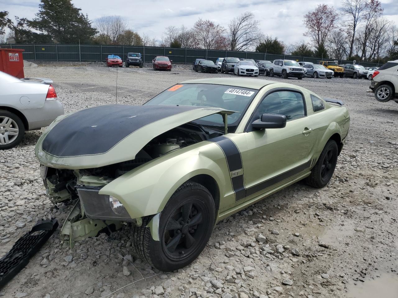 FORD MUSTANG 2005 1zvft82h055162561