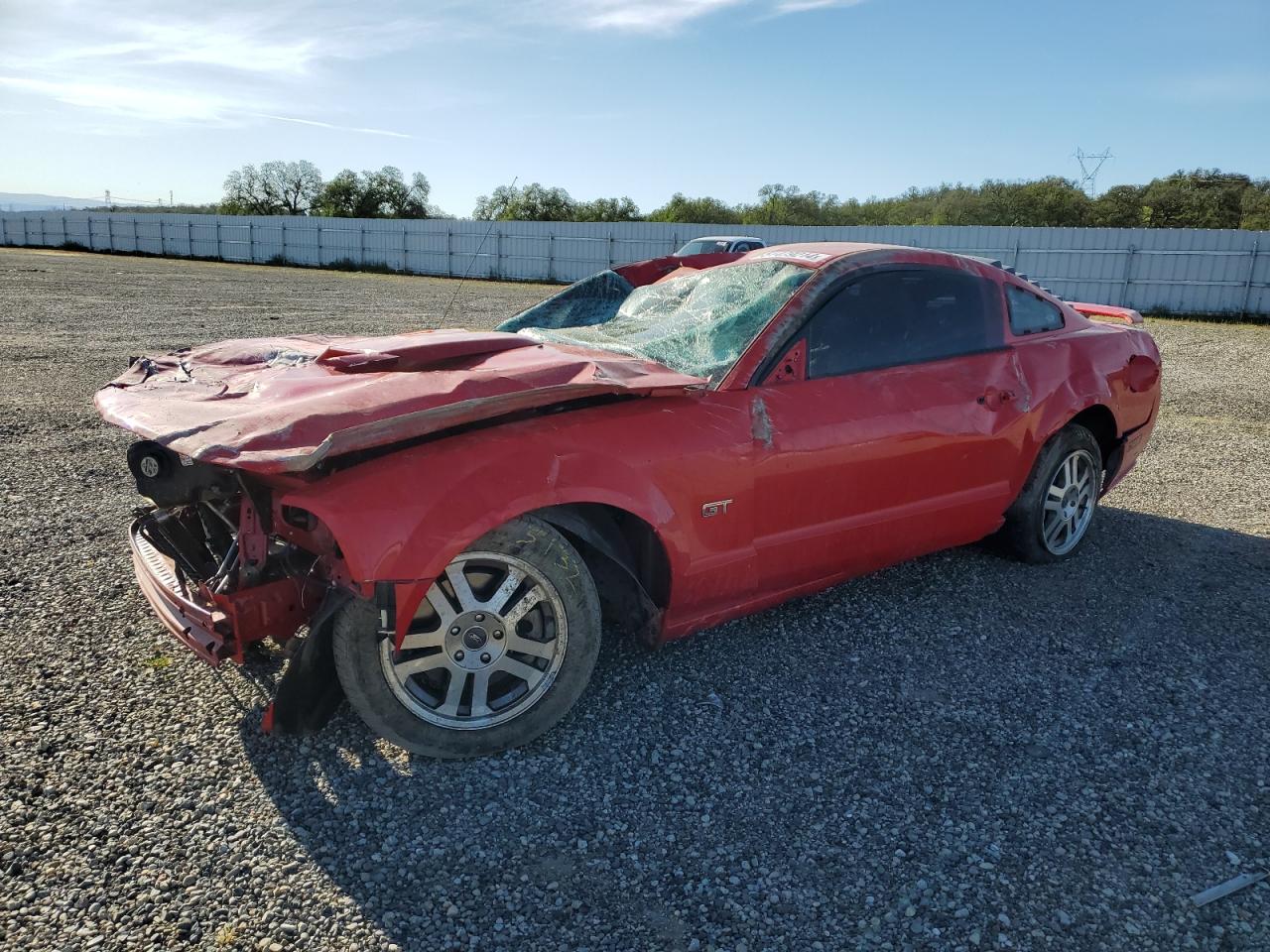 FORD MUSTANG 2005 1zvft82h055230003