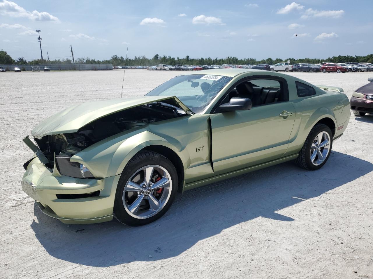 FORD MUSTANG 2006 1zvft82h065225322