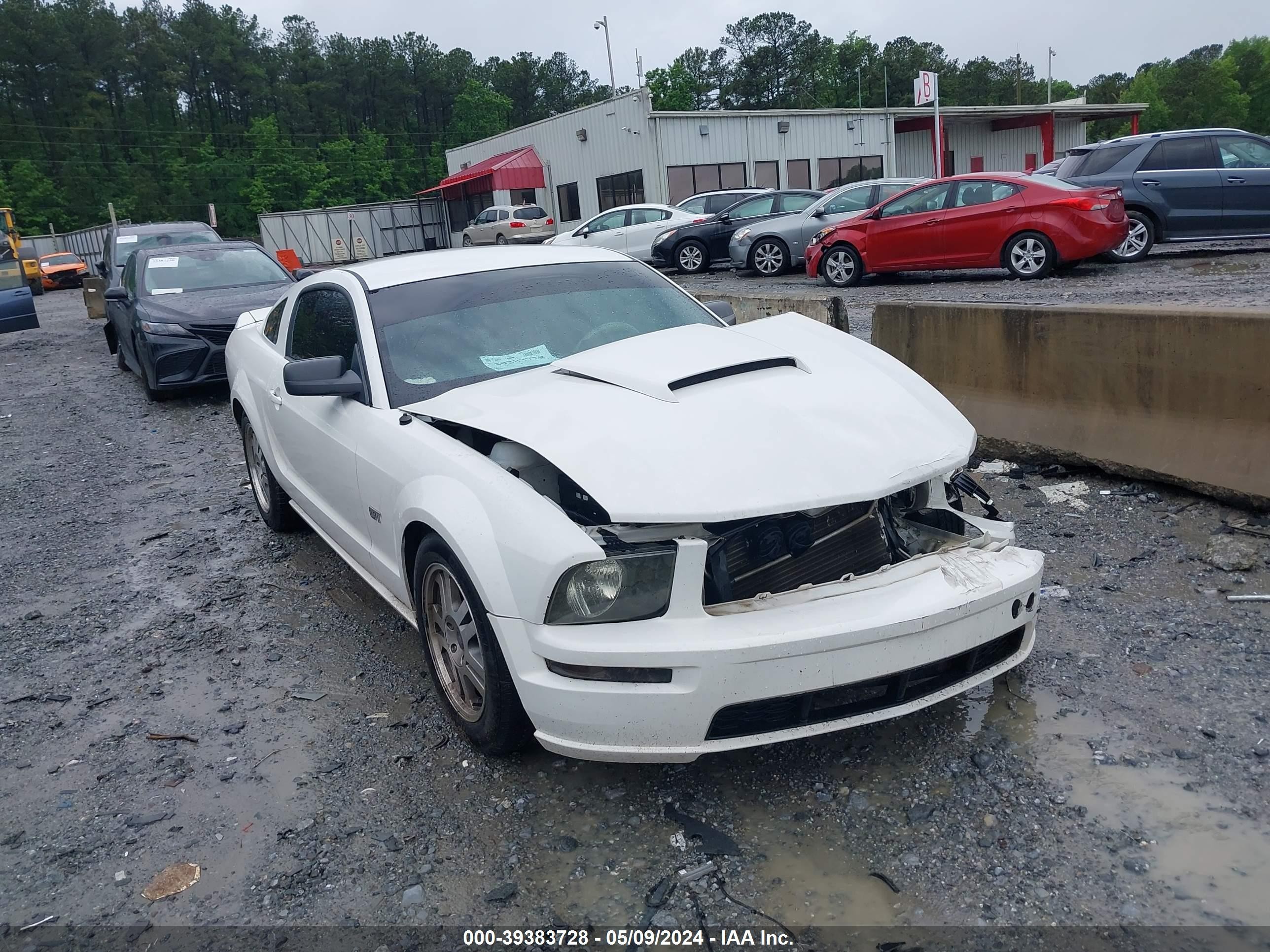 FORD MUSTANG 2006 1zvft82h165151148