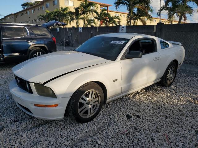 FORD MUSTANG 2005 1zvft82h255153487