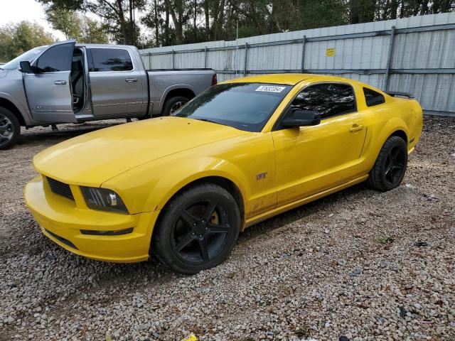 FORD MUSTANG 2006 1zvft82h265236600