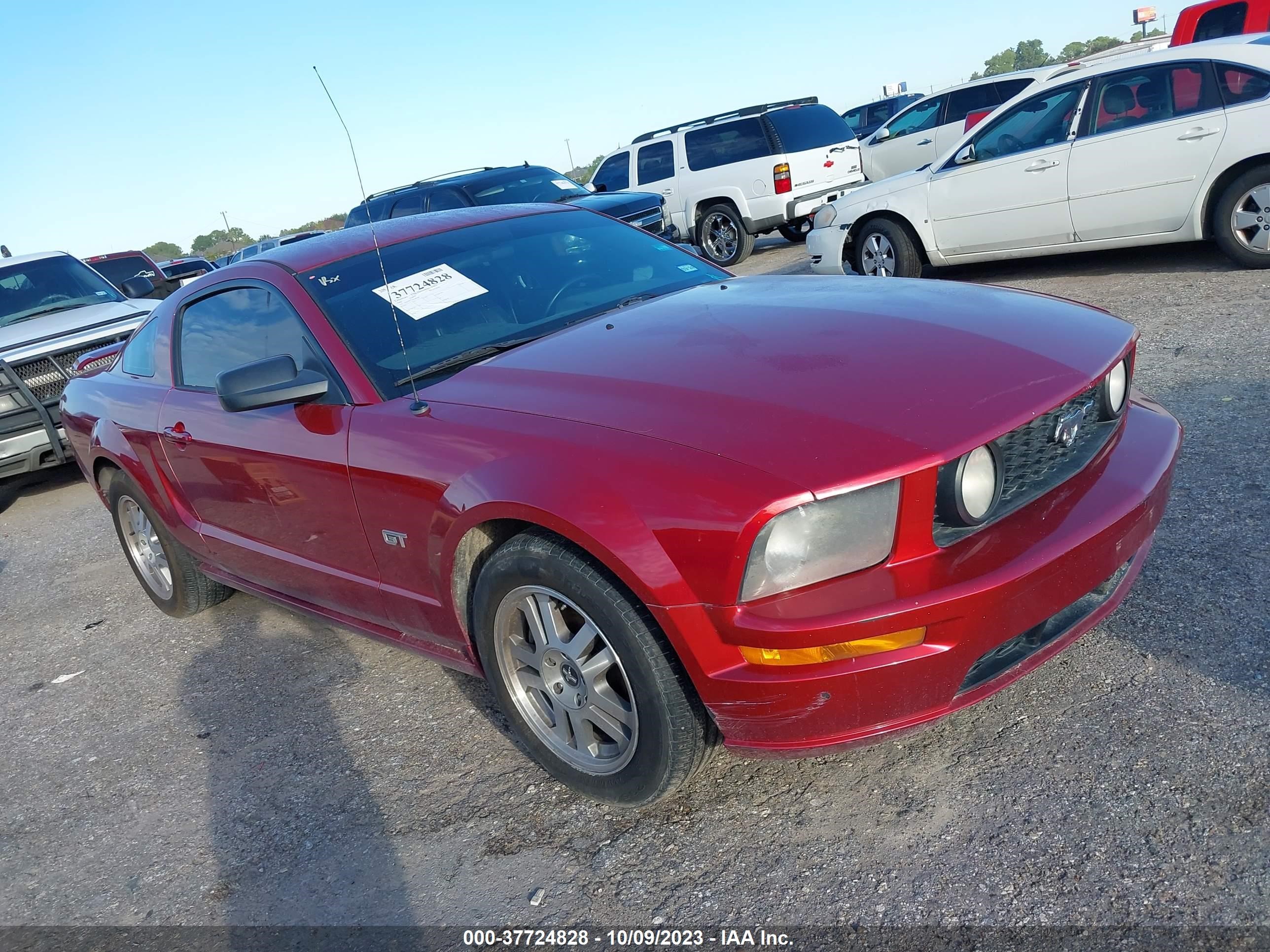 FORD MUSTANG 2006 1zvft82h365186788