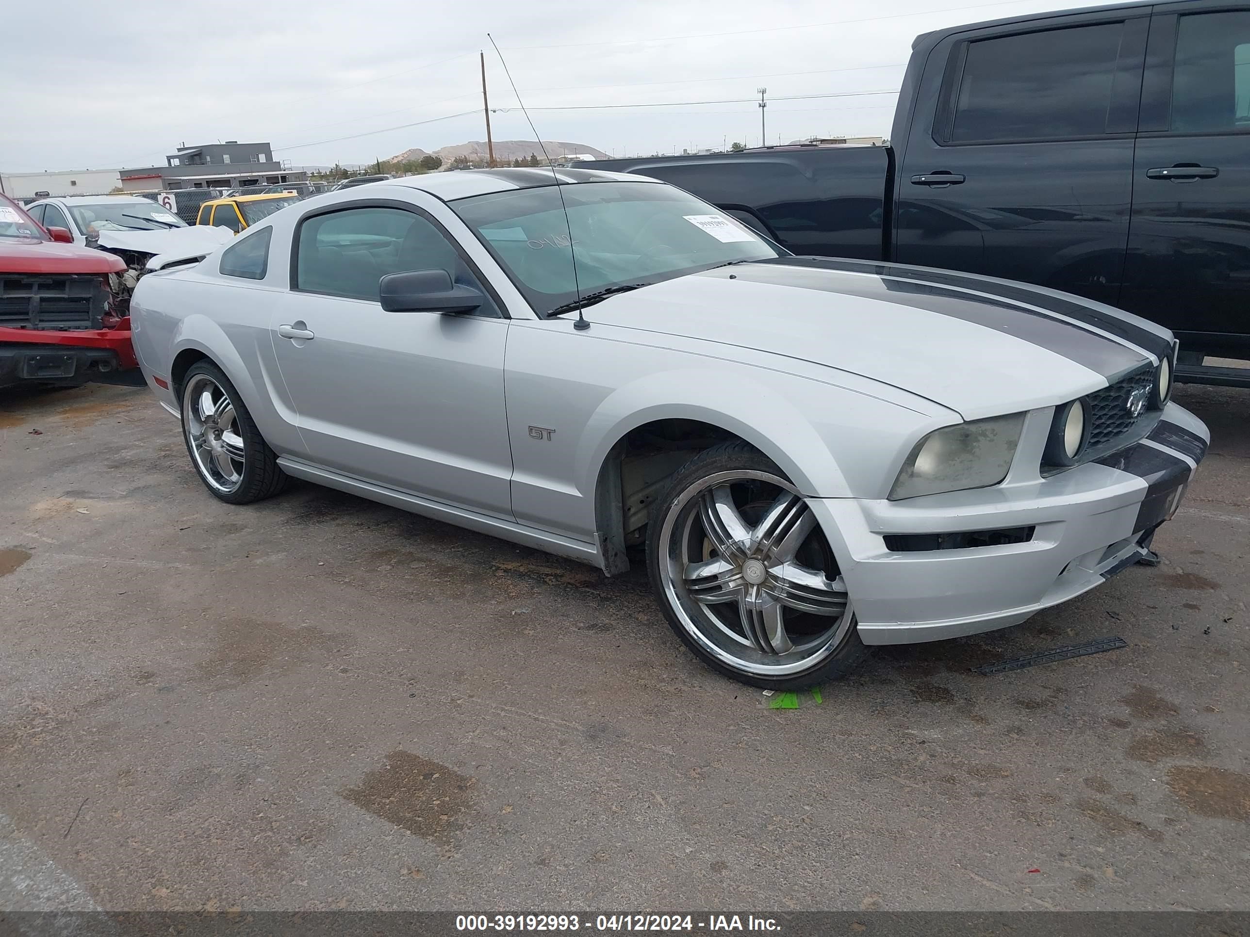 FORD MUSTANG 2006 1zvft82h365210636