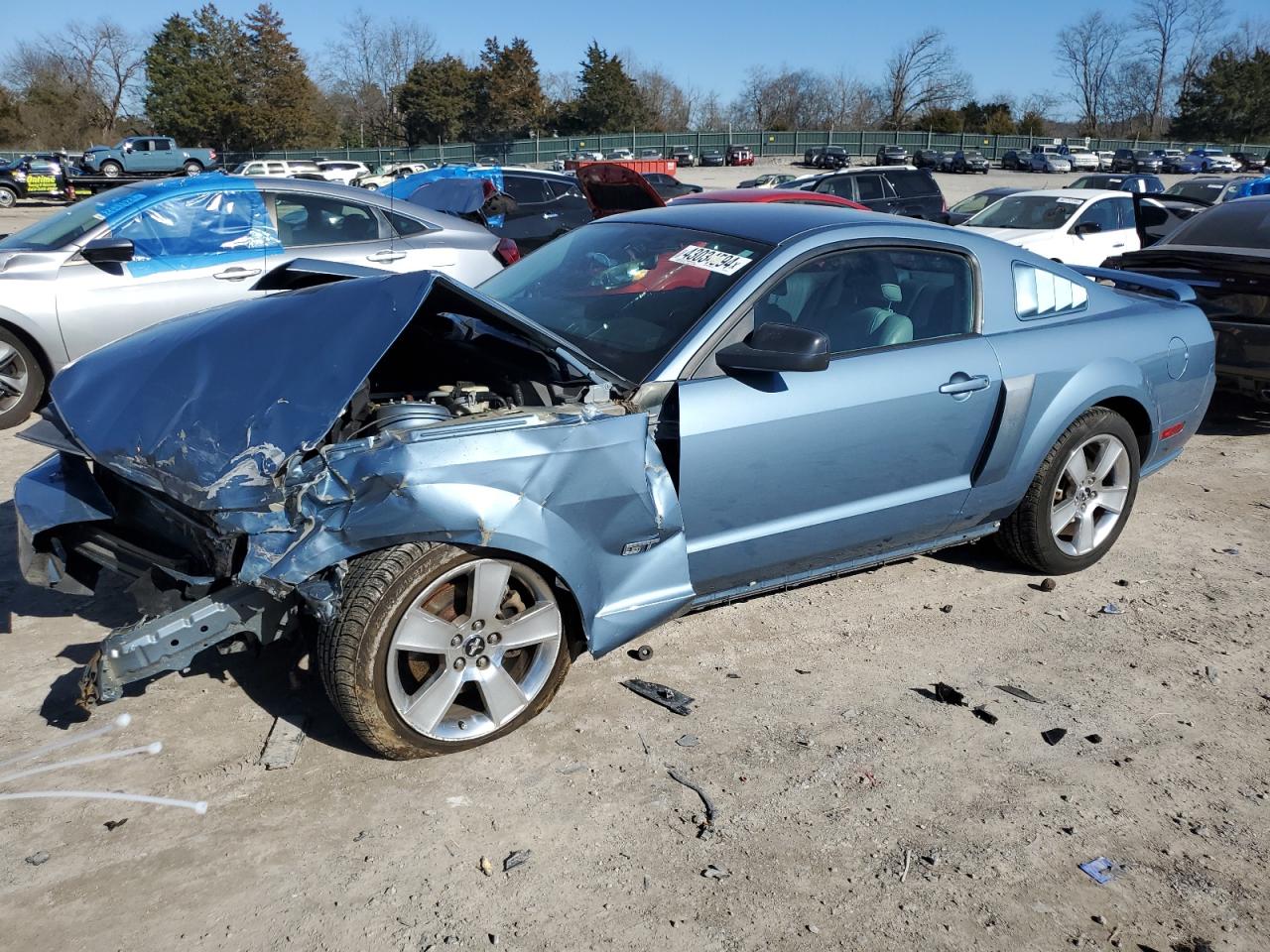 FORD MUSTANG 2006 1zvft82h365250716