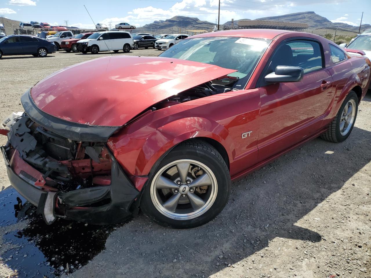 FORD MUSTANG 2006 1zvft82h465251891