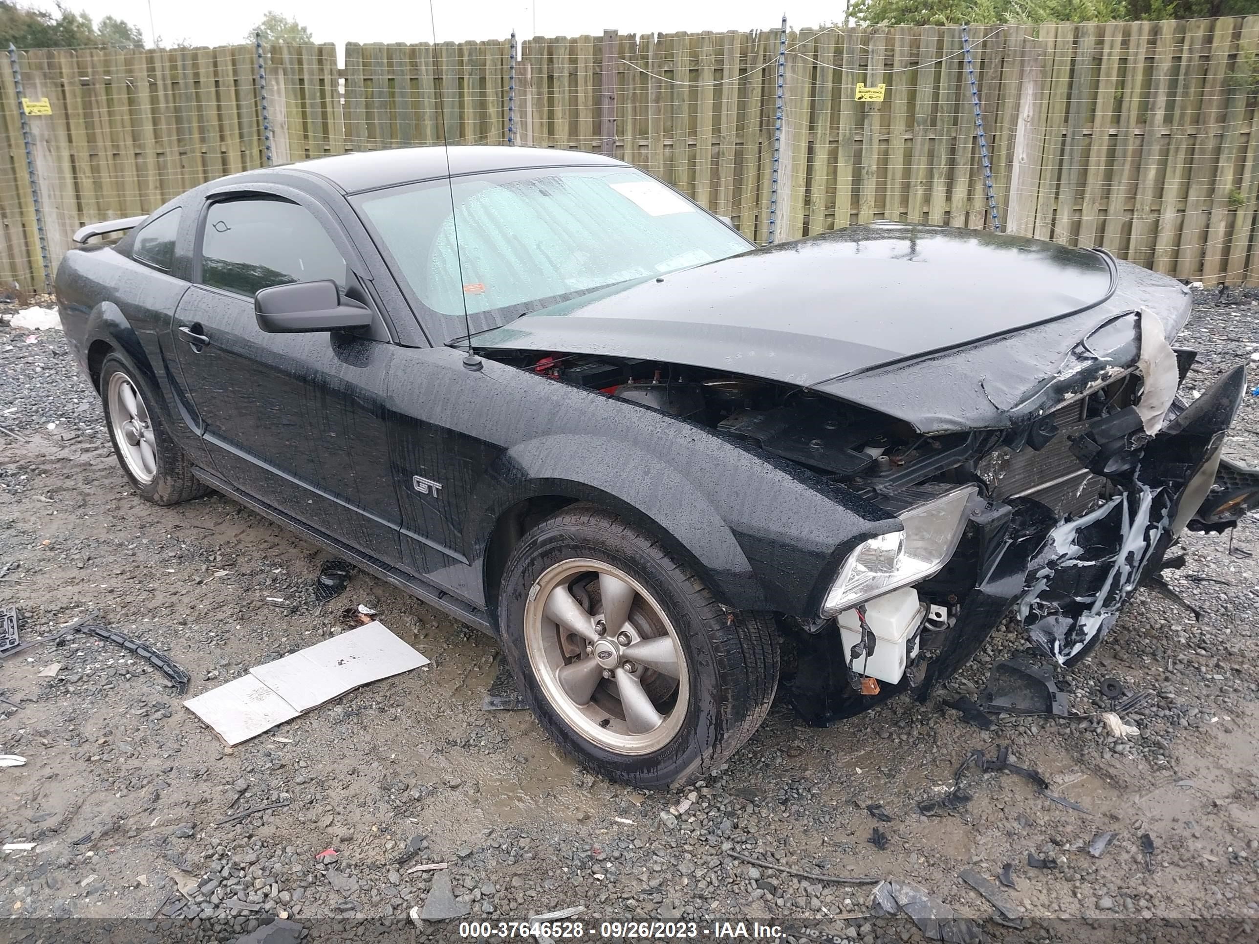 FORD MUSTANG 2006 1zvft82h565103748