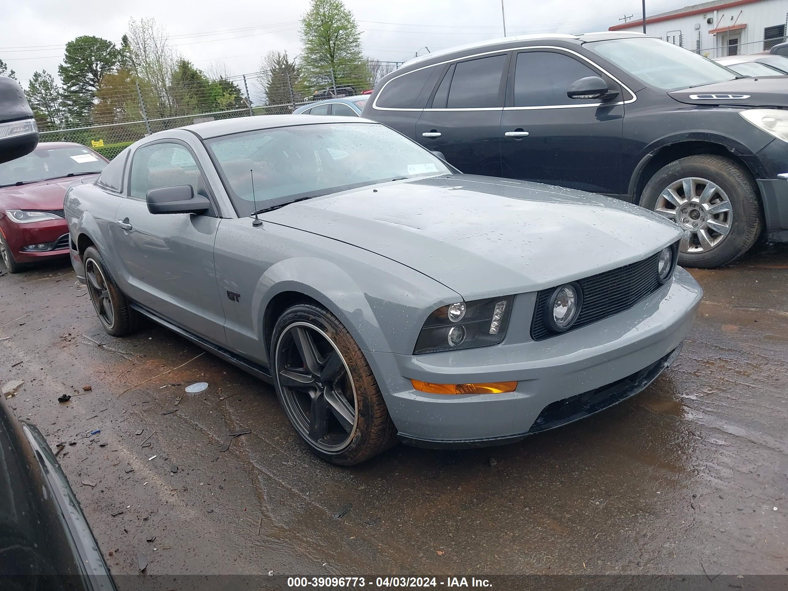 FORD MUSTANG 2006 1zvft82h565105936