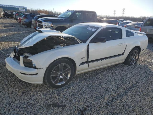 FORD MUSTANG 2006 1zvft82h565134689