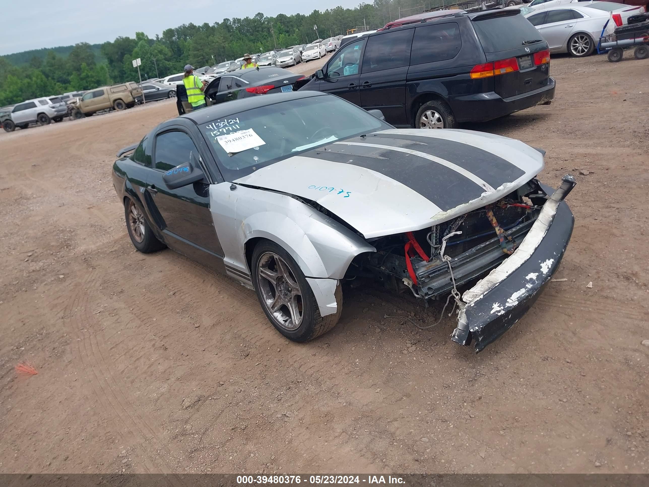 FORD MUSTANG 2006 1zvft82h565139097