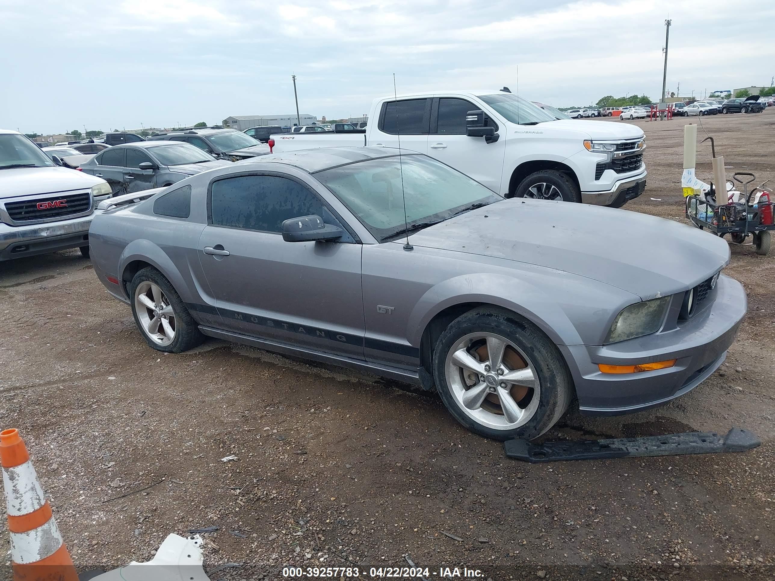 FORD MUSTANG 2006 1zvft82h565162914