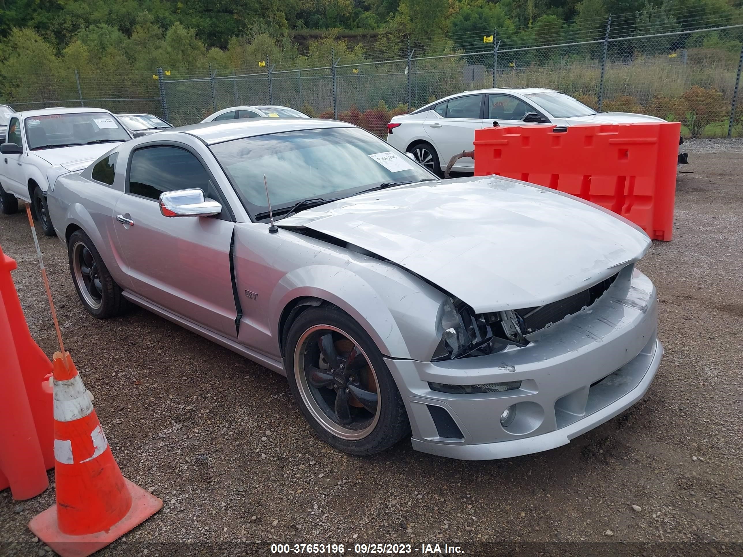 FORD MUSTANG 2006 1zvft82h565180152