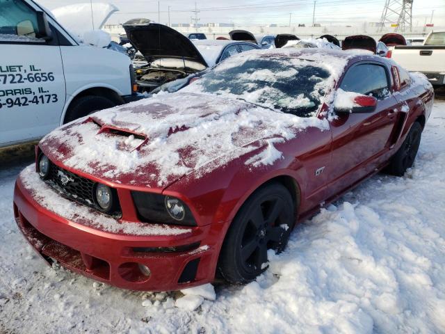 FORD MUSTANG 2006 1zvft82h565185979