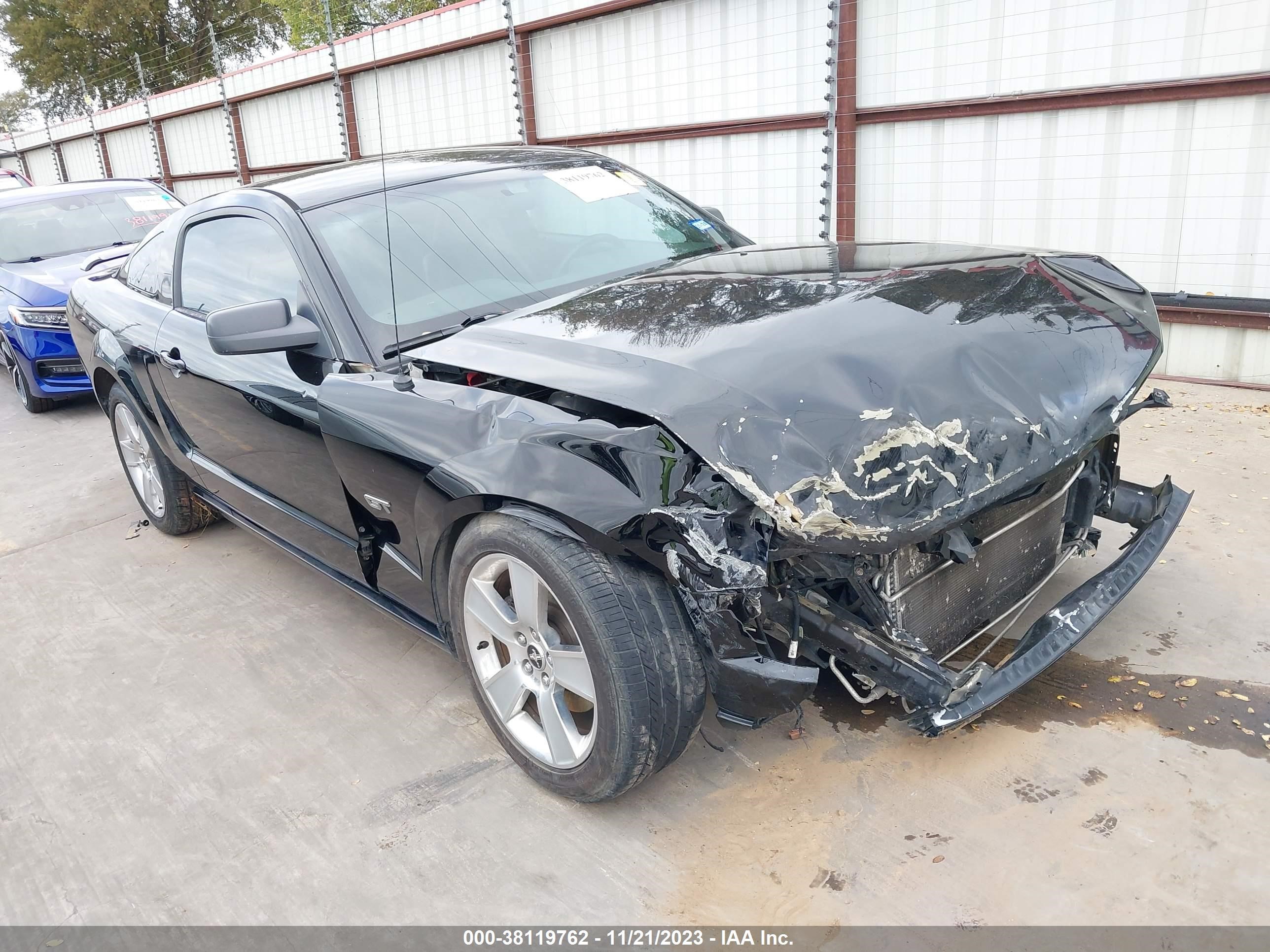 FORD MUSTANG 2006 1zvft82h565261507