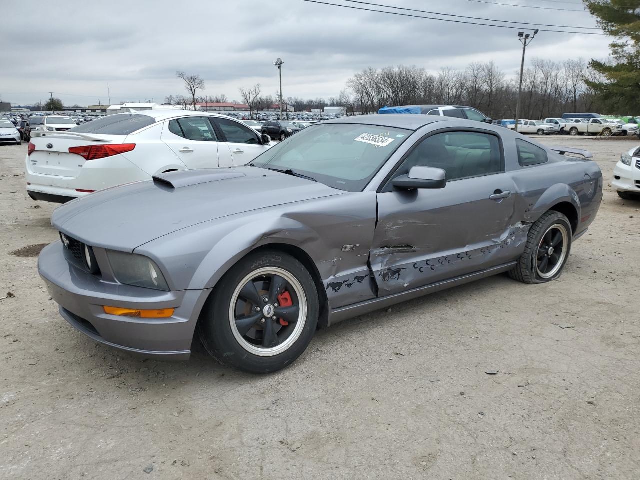 FORD MUSTANG 2007 1zvft82h575227004